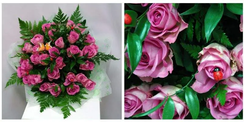 Букет Сумерки