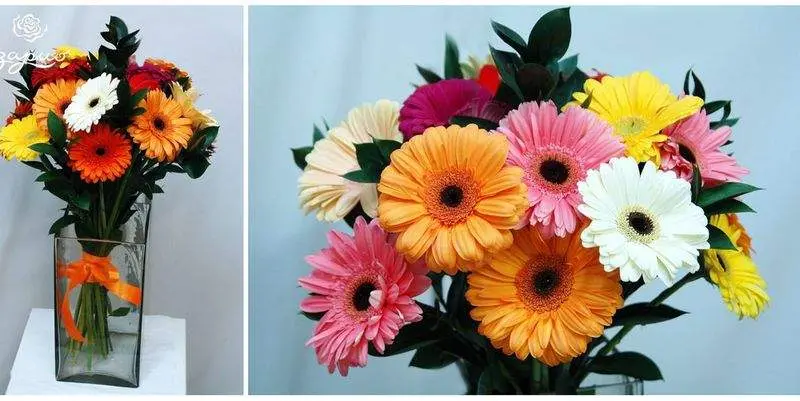 Букет Песня Души