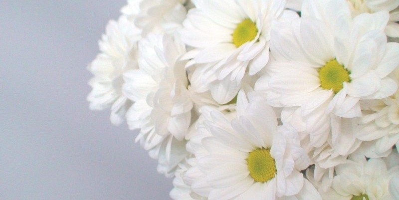 Бакарди Белая